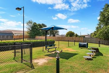 Dog Park with Equipment